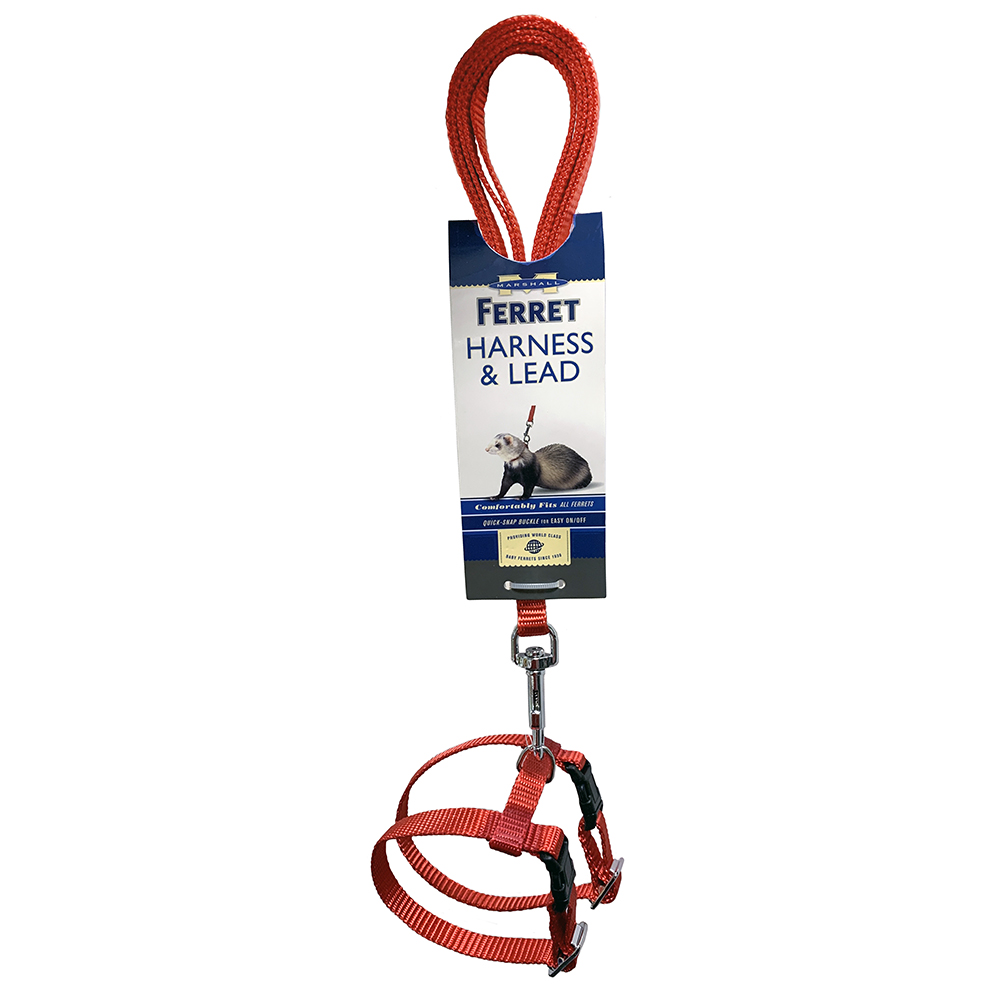 Escape proof clearance ferret harness